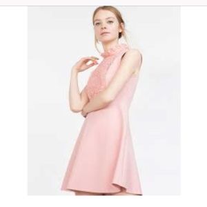 Zara Pink Sleeveless High Neck Ruffle Lace Dress Size Small